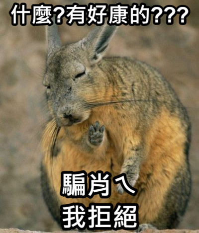 錦和國小梗圖宣導(宣導篇)圖片