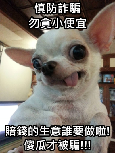 錦和國小梗圖宣導(宣導篇)圖片