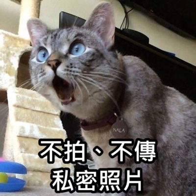 錦和國小梗圖宣導(宣導篇)圖片