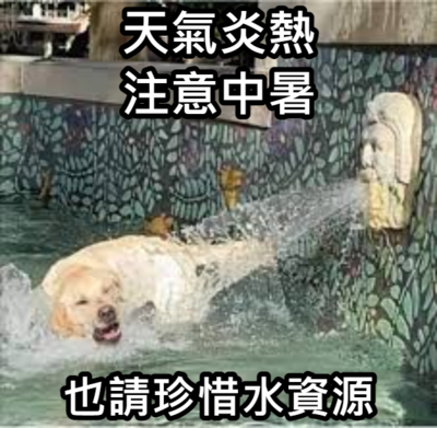 錦和國小梗圖宣導(宣導篇)圖片
