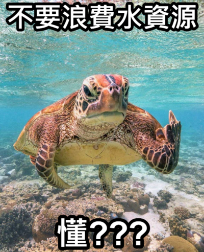 錦和國小梗圖宣導(宣導篇)圖片