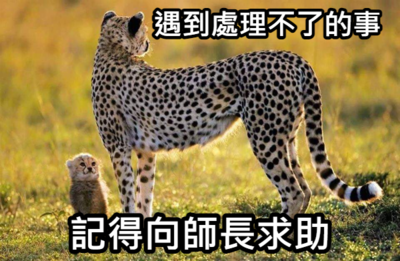 錦和國小梗圖宣導(宣導篇)圖片
