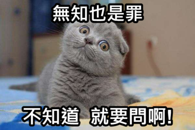 錦和國小梗圖宣導(宣導篇)圖片