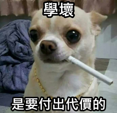 錦和國小梗圖宣導(宣導篇)圖片
