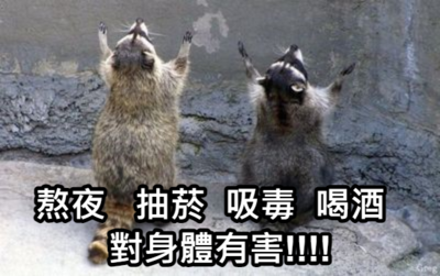 錦和國小梗圖宣導(宣導篇)圖片