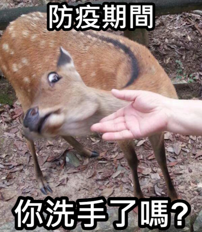 ImgDesc