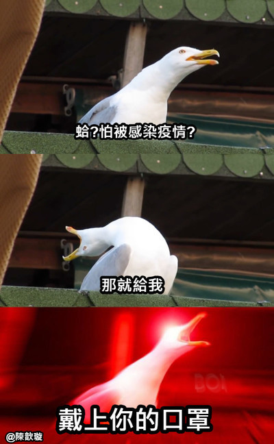 ImgDesc